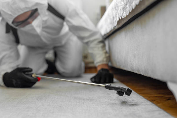 Professional Bed Bug Control technician working in Kings Bay Base, GA