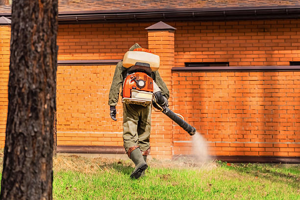 Trusted Rodent Control service in Kings Bay Base, GA - Nex Pest Control